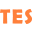 TESmart.JP logo